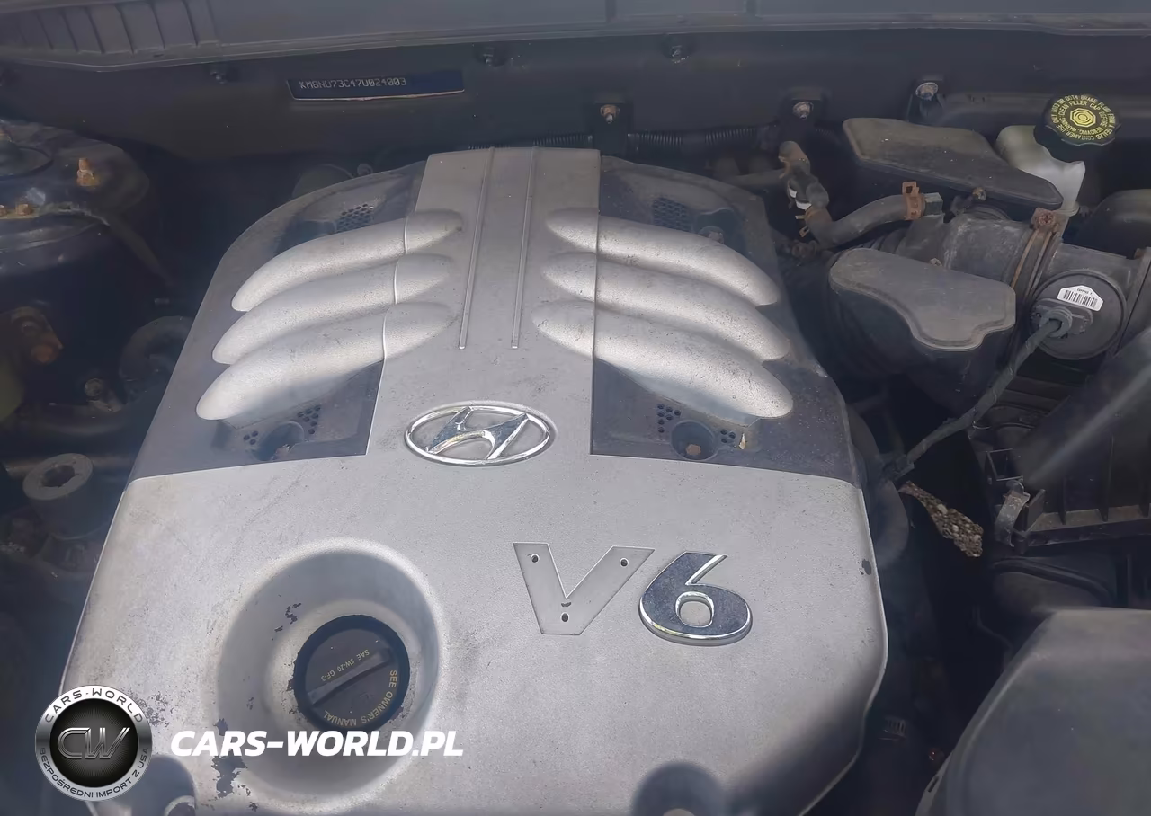 2007 Hyundai Veracruz Gls-Limited-Se VIN:KM8NU73C47U024003 - 10