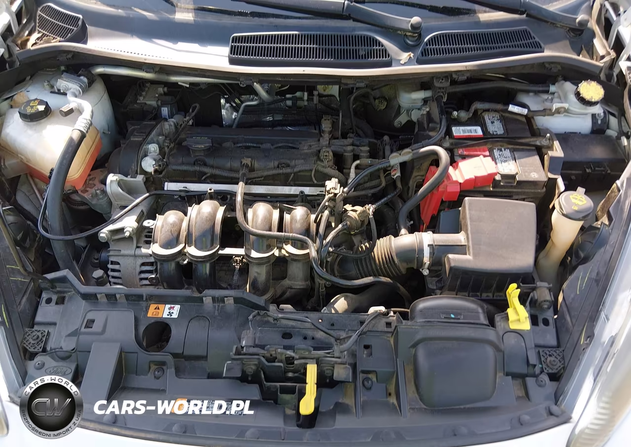 2016 Ford Fiesta Se VIN:3FADP4BJ6GM178454 - 10
