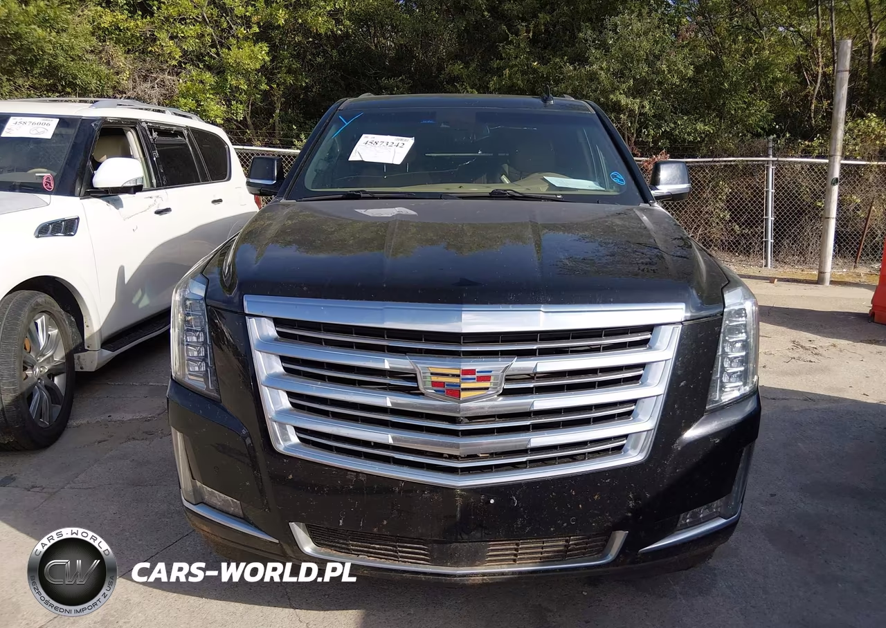 2020 Cadillac Escalade 4Wd Platinum VIN:1GYS4DKJ1LR152552 - 12