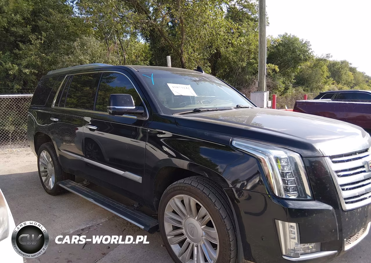 2020 Cadillac Escalade 4Wd Platinum VIN:1GYS4DKJ1LR152552 - 13
