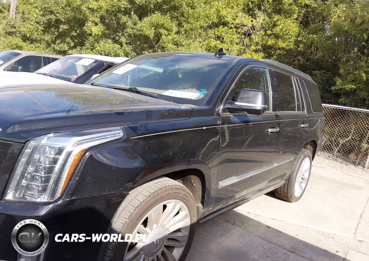 2020 Cadillac Escalade 4Wd Platinum VIN:1GYS4DKJ1LR152552 - 14