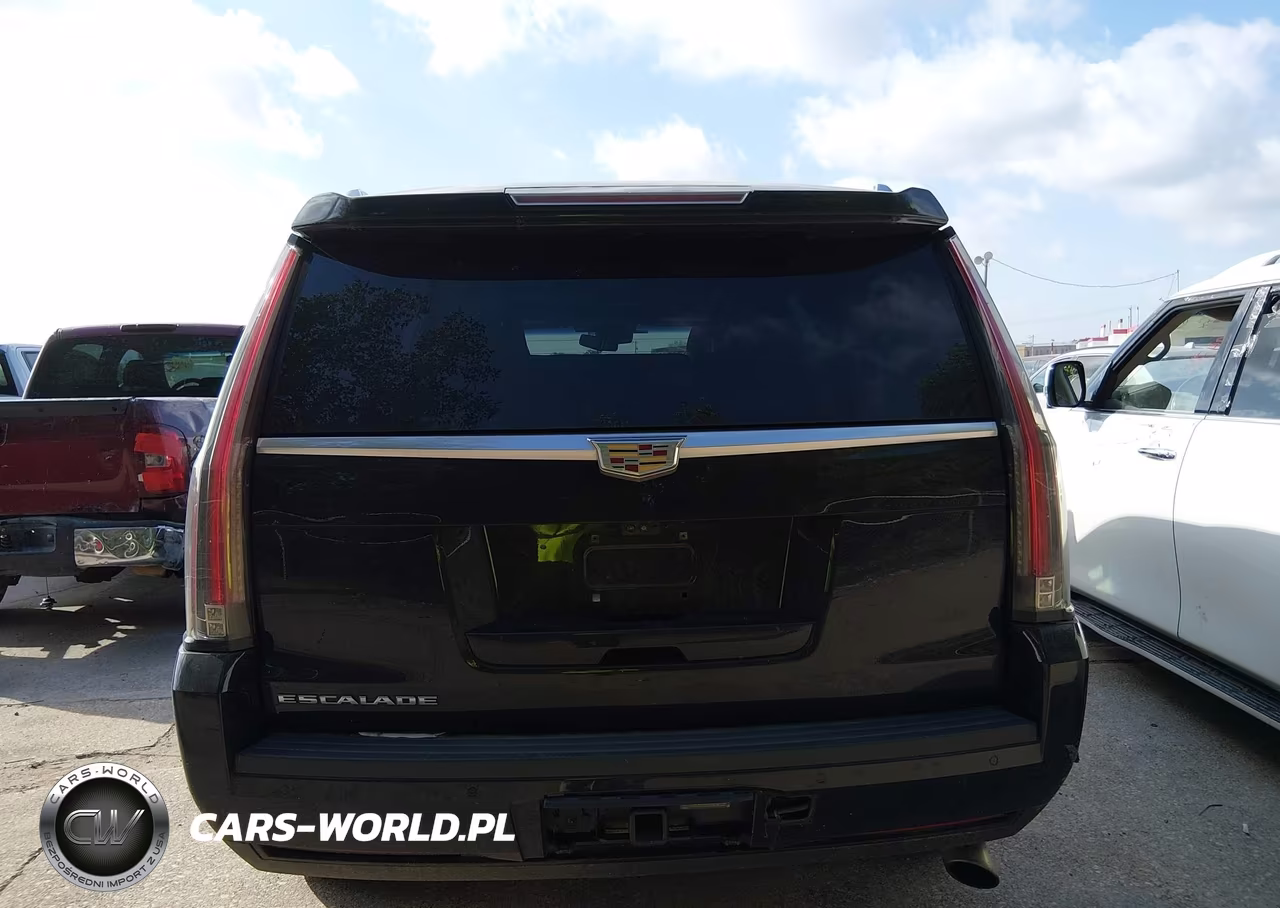 2020 Cadillac Escalade 4Wd Platinum VIN:1GYS4DKJ1LR152552 - 16