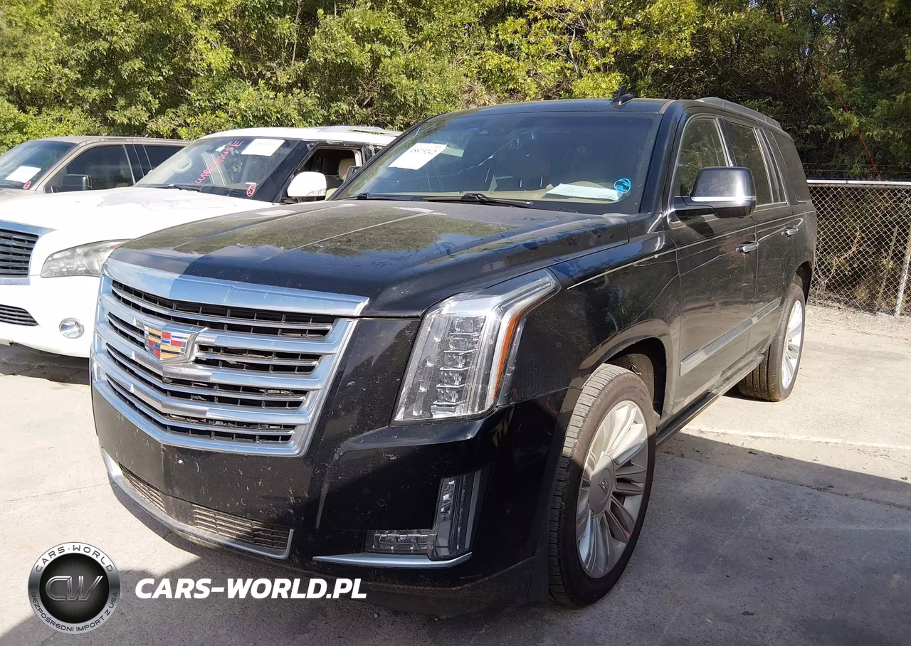 2020 Cadillac Escalade 4Wd Platinum VIN:1GYS4DKJ1LR152552 - 2