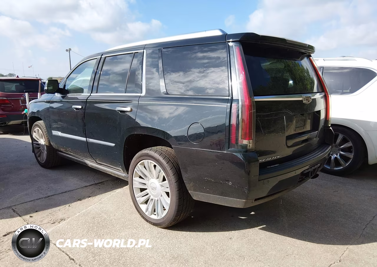 2020 Cadillac Escalade 4Wd Platinum VIN:1GYS4DKJ1LR152552 - 3