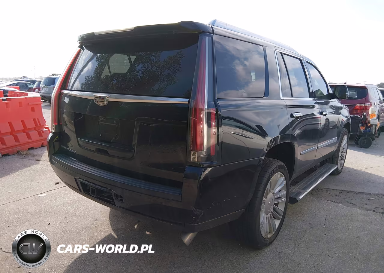 2020 Cadillac Escalade 4Wd Platinum VIN:1GYS4DKJ1LR152552 - 4