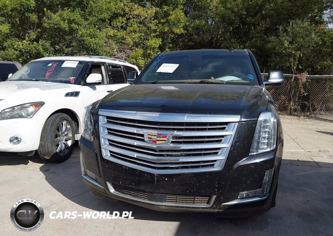 2020 Cadillac Escalade 4Wd Platinum VIN:1GYS4DKJ1LR152552 - 6