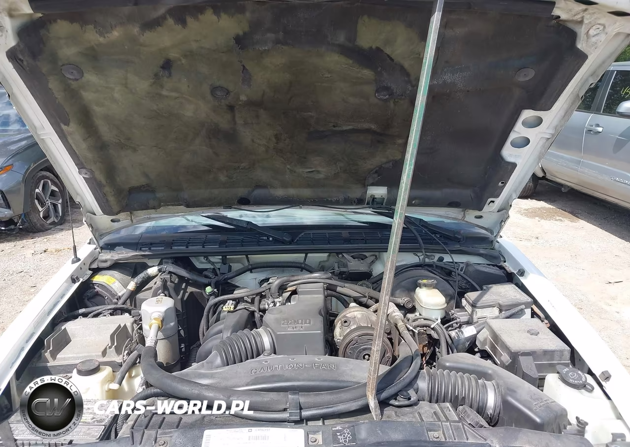 1999 Chevrolet S-10 Ls VIN:1GCCS1943X8178337 - 10