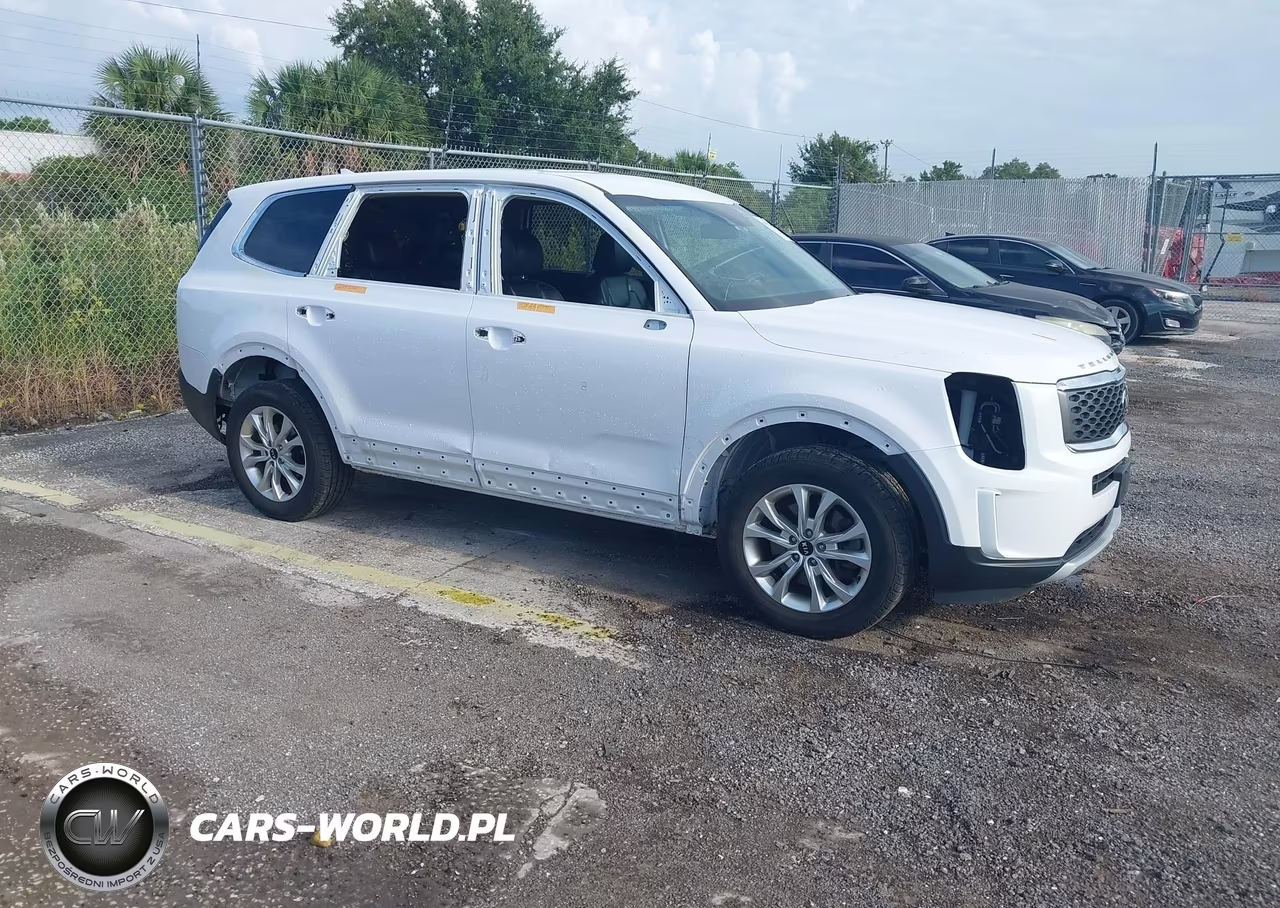 2021 Kia Telluride Lx VIN:5XYP2DHC6MG167543 - 1