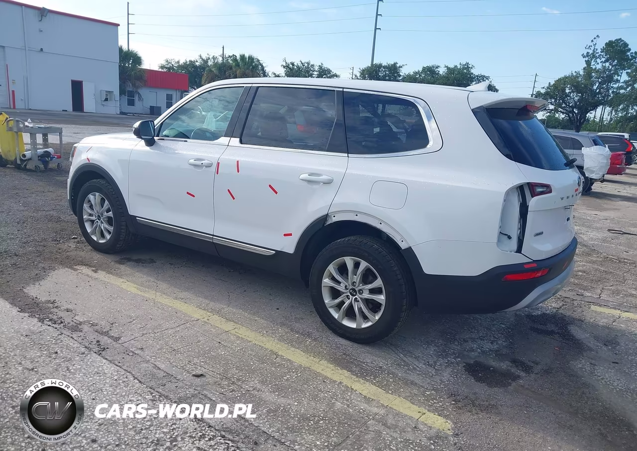 2021 Kia Telluride Lx VIN:5XYP2DHC6MG167543 - 3