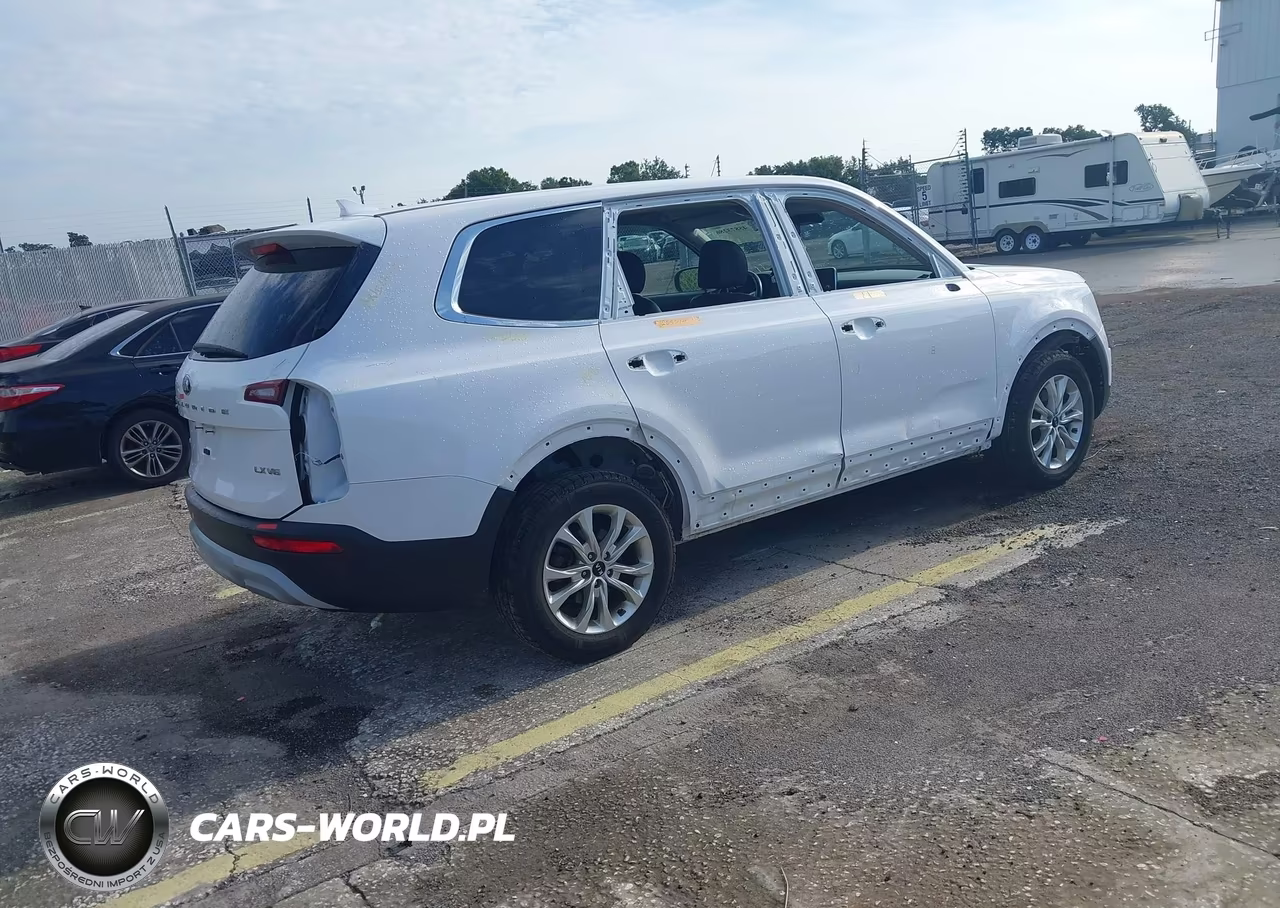 2021 Kia Telluride Lx VIN:5XYP2DHC6MG167543 - 4