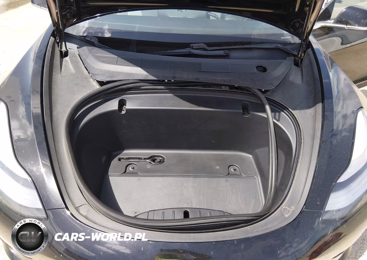 2020 Tesla Model 3 Performance Dual Motor All-Wheel Drive VIN:5YJ3E1ECXLF742791 - 10