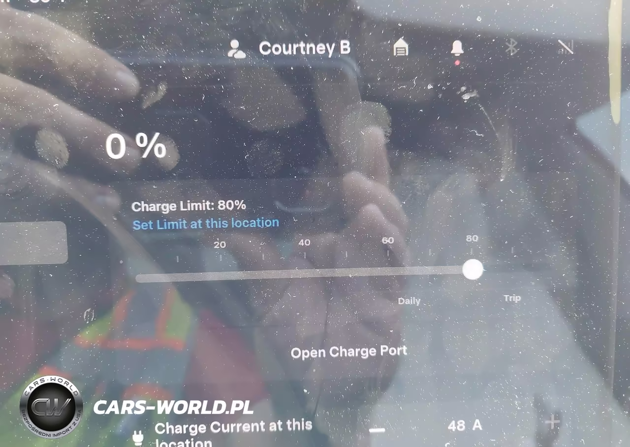 2020 Tesla Model 3 Performance Dual Motor All-Wheel Drive VIN:5YJ3E1ECXLF742791 - 17