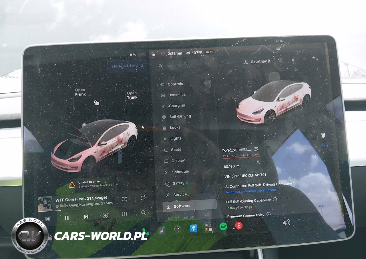 2020 Tesla Model 3 Performance Dual Motor All-Wheel Drive VIN:5YJ3E1ECXLF742791 - 18