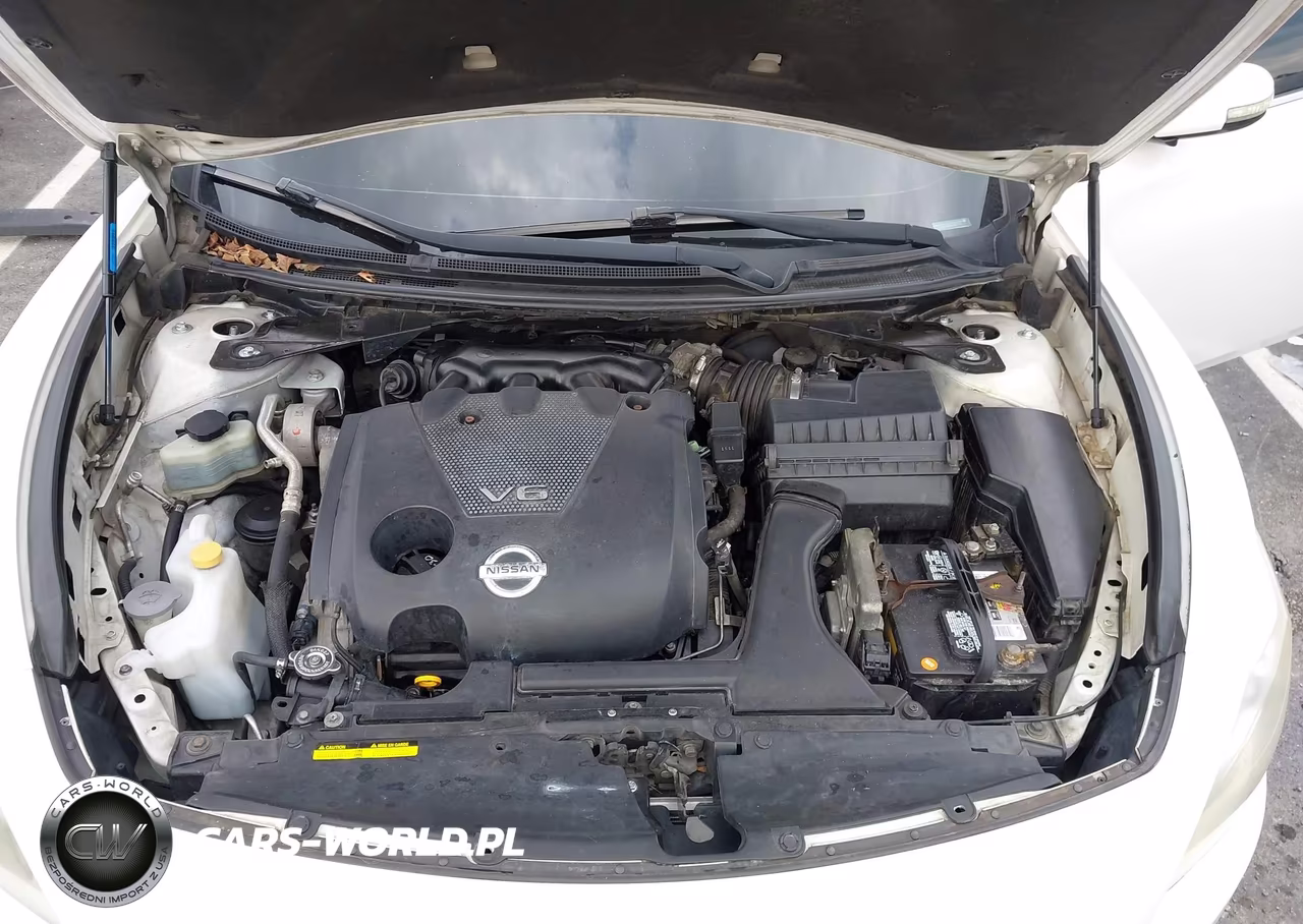 2011 Nissan Maxima 3.5 Sv VIN:1N4AA5AP6BC841743 - 10