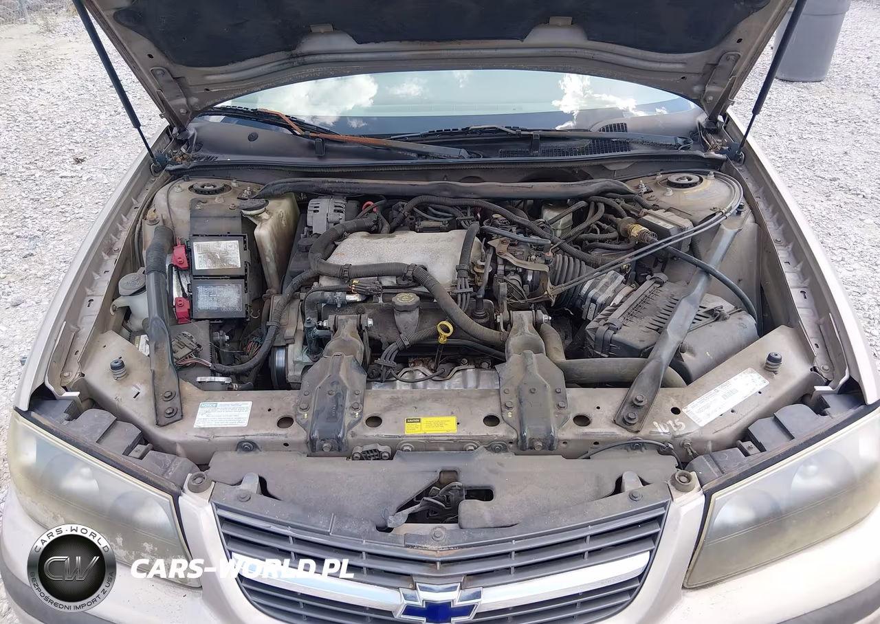 2001 Chevrolet Impala VIN:2G1WF52E119243461 - 10