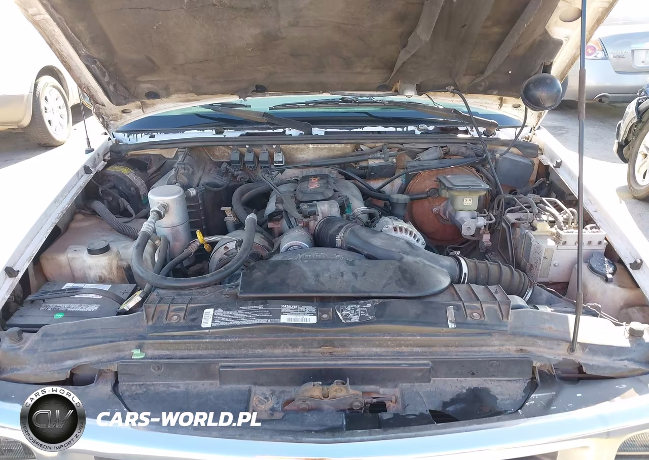 1994 Chevrolet S Truck S10 VIN:1GCCS14W3R8196672 - 10