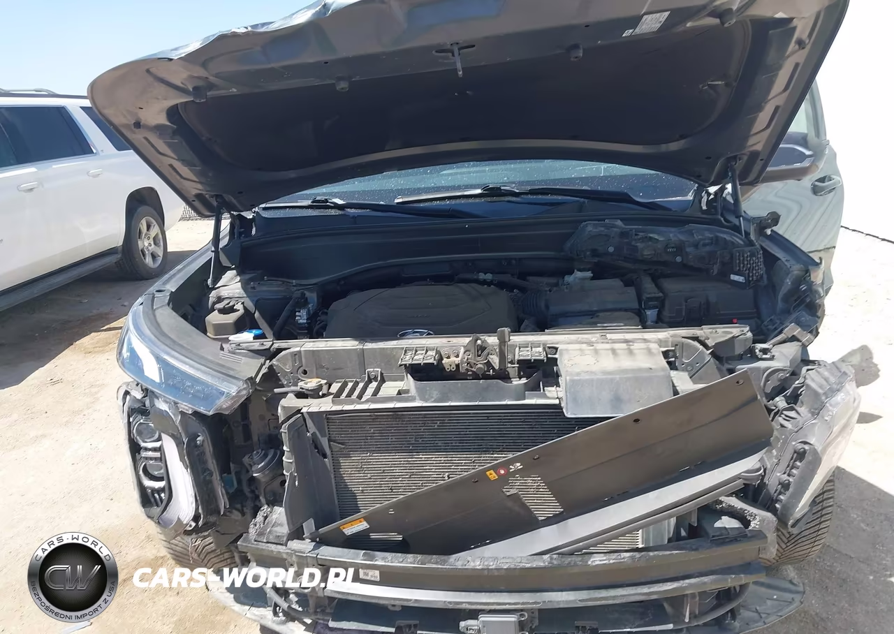 2021 Hyundai Palisade Limited VIN:KM8R54HE6MU207812 - 10