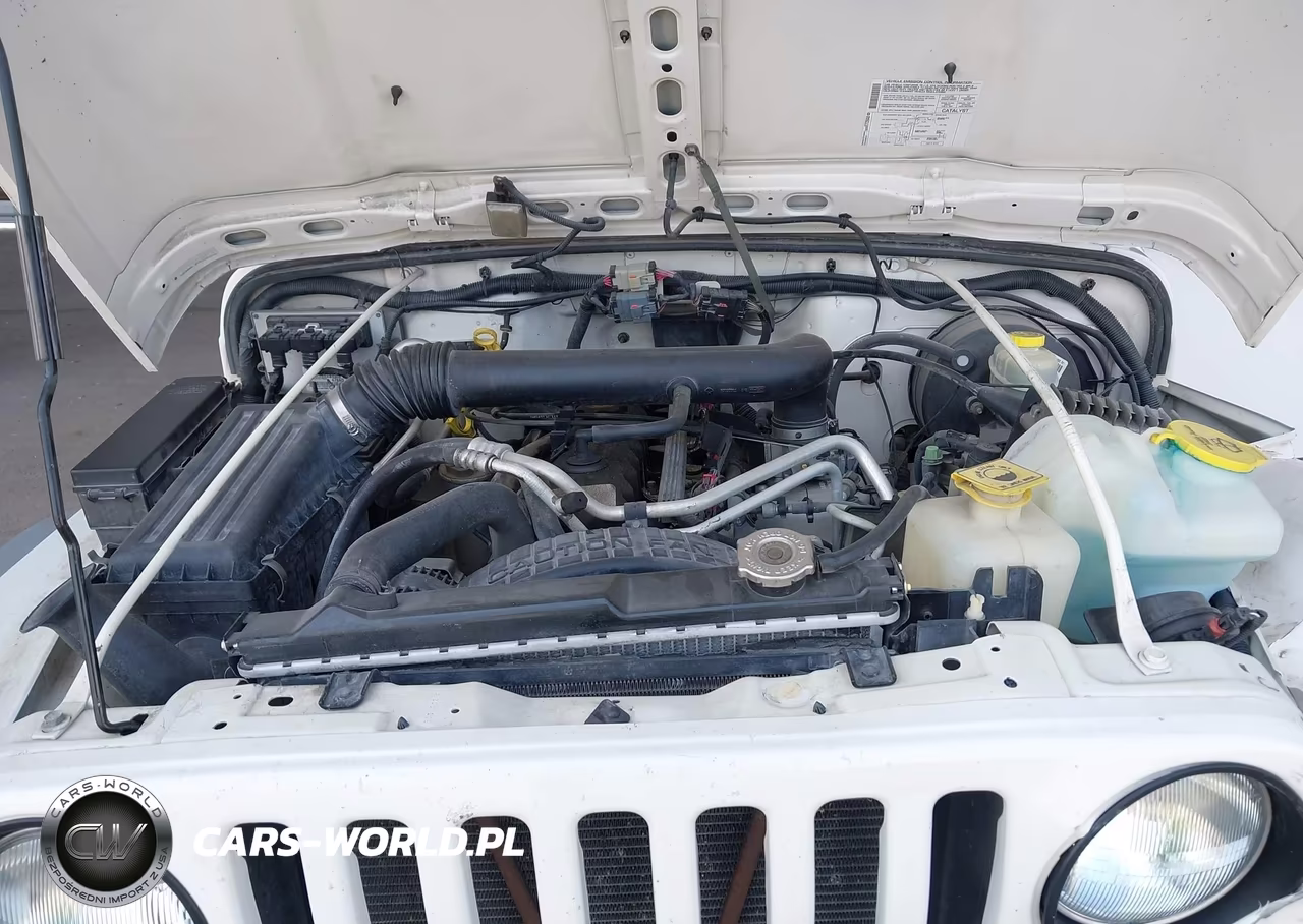2004 Jeep Wrangler Sport VIN:1J4FA49S34P731189 - 10