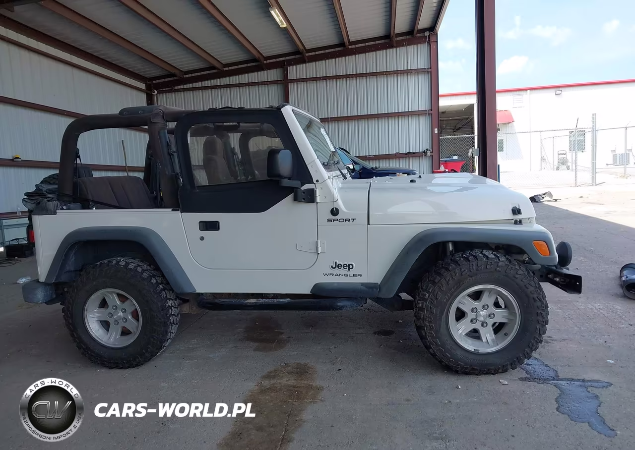2004 Jeep Wrangler Sport VIN:1J4FA49S34P731189 - 13
