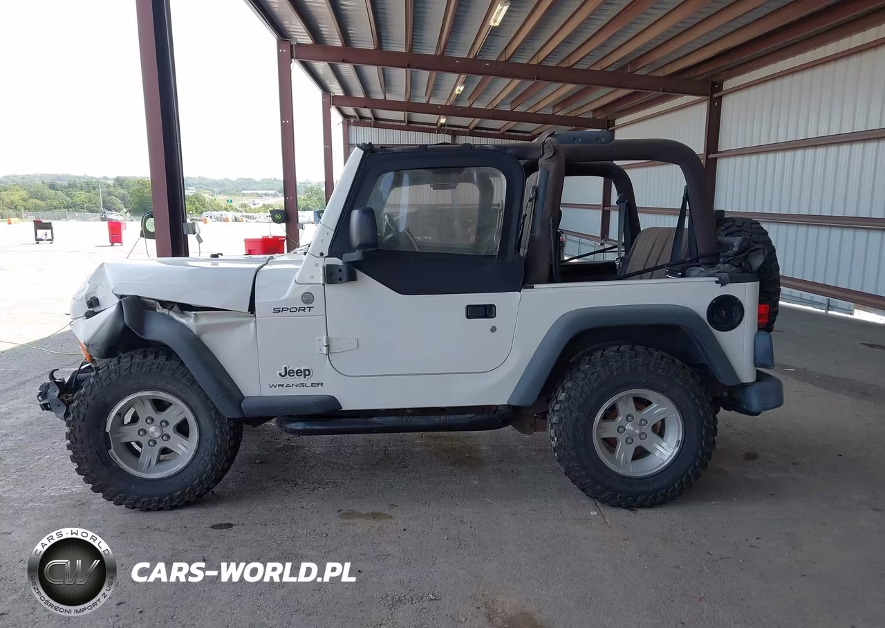 2004 Jeep Wrangler Sport VIN:1J4FA49S34P731189 - 14
