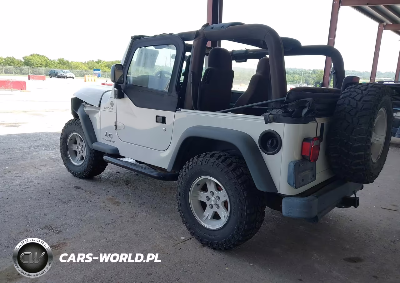 2004 Jeep Wrangler Sport VIN:1J4FA49S34P731189 - 3