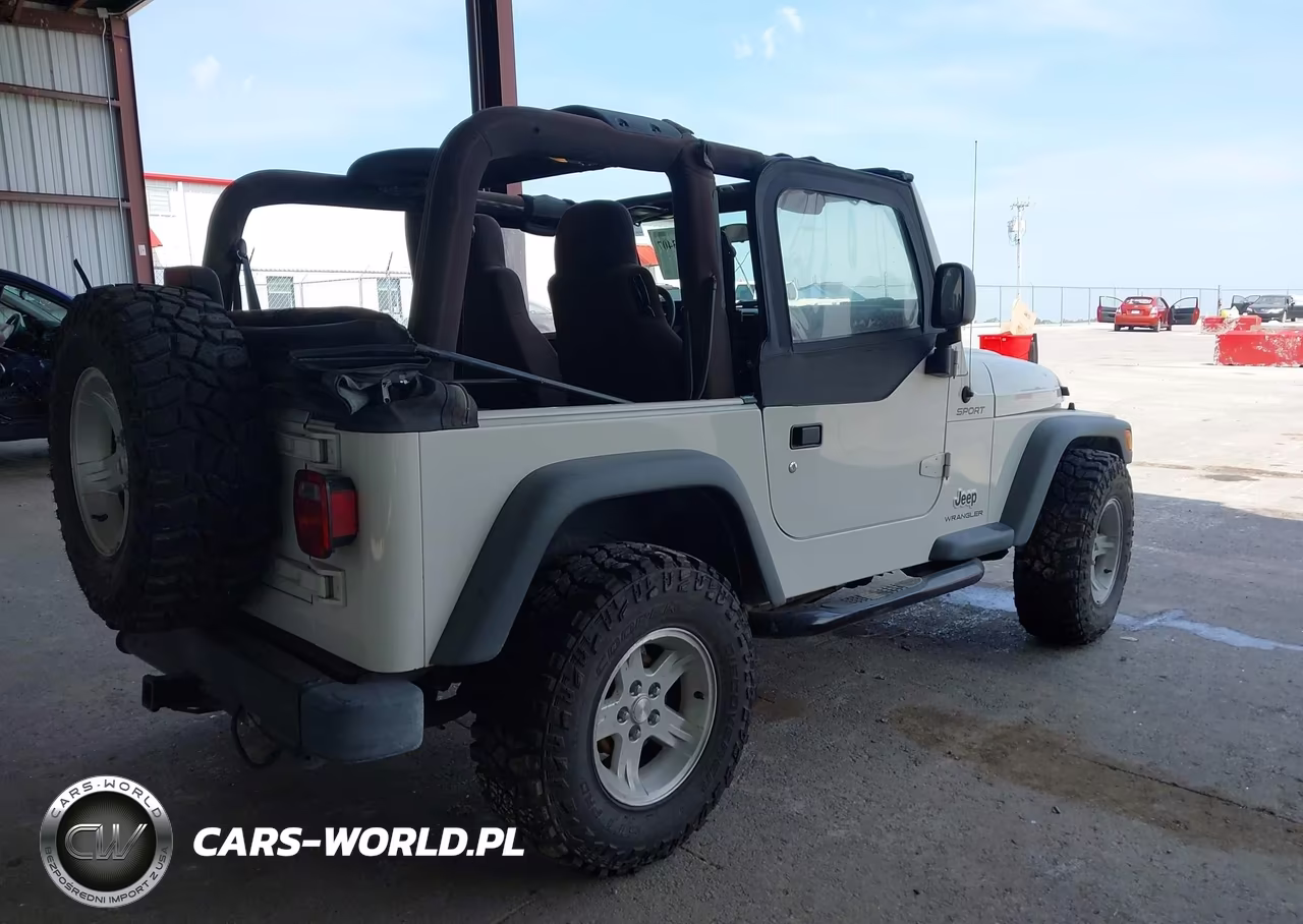2004 Jeep Wrangler Sport VIN:1J4FA49S34P731189 - 4