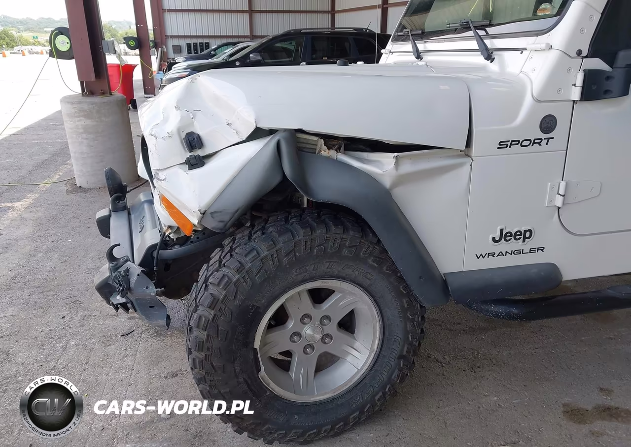 2004 Jeep Wrangler Sport VIN:1J4FA49S34P731189 - 6