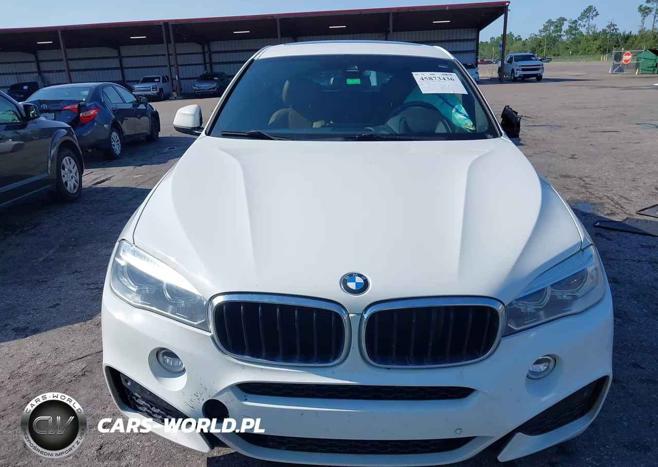 2018 BMW X6 xDrive35I VIN:5UXKU2C59J0Z61342 - 12