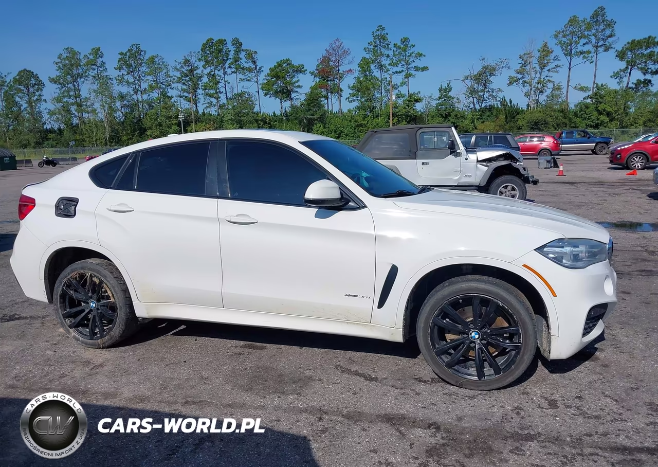 2018 BMW X6 xDrive35I VIN:5UXKU2C59J0Z61342 - 13