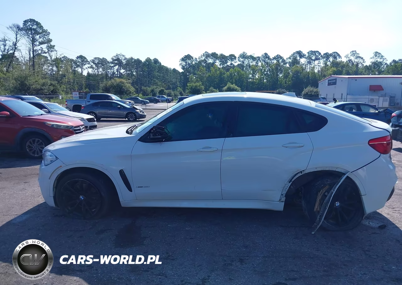 2018 BMW X6 xDrive35I VIN:5UXKU2C59J0Z61342 - 14