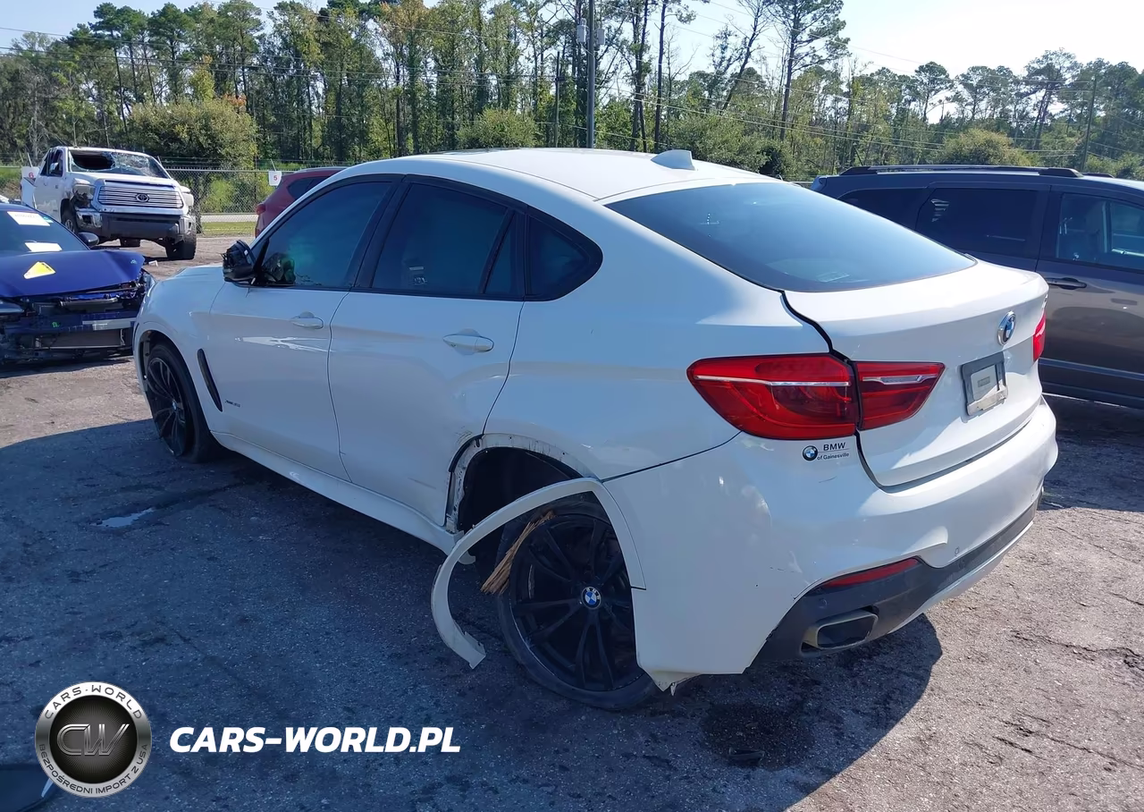 2018 BMW X6 xDrive35I VIN:5UXKU2C59J0Z61342 - 3