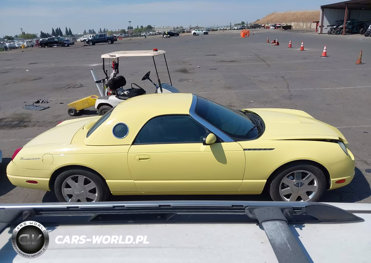 2002 Ford Thunderbird Deluxe-Premium-W-Hardtop Deluxe-W-Hardtop Premium VIN:1FAHP60A82Y107575 - 14