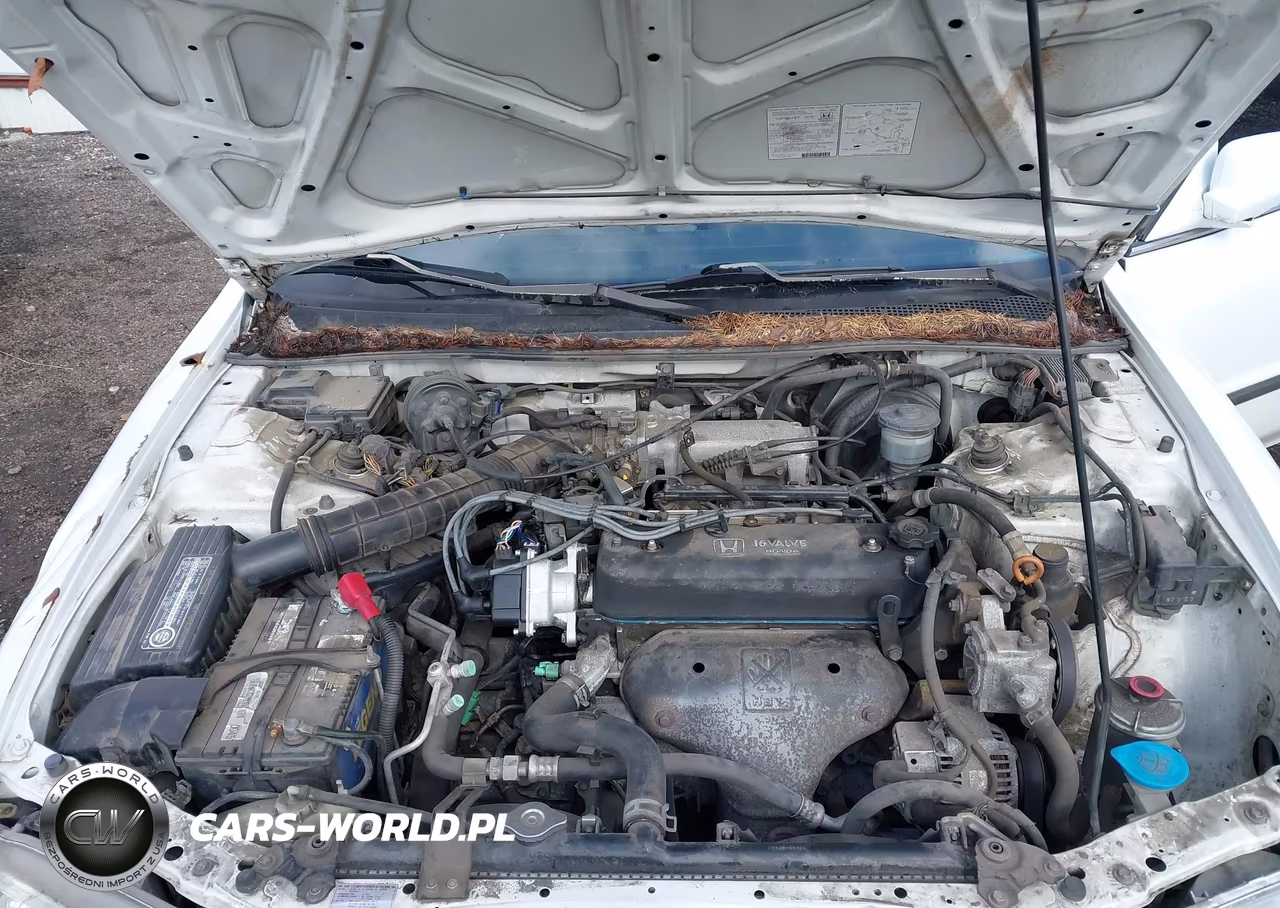 1994 Honda Accord Lx VIN:JHMCD5639RC004509 - 10