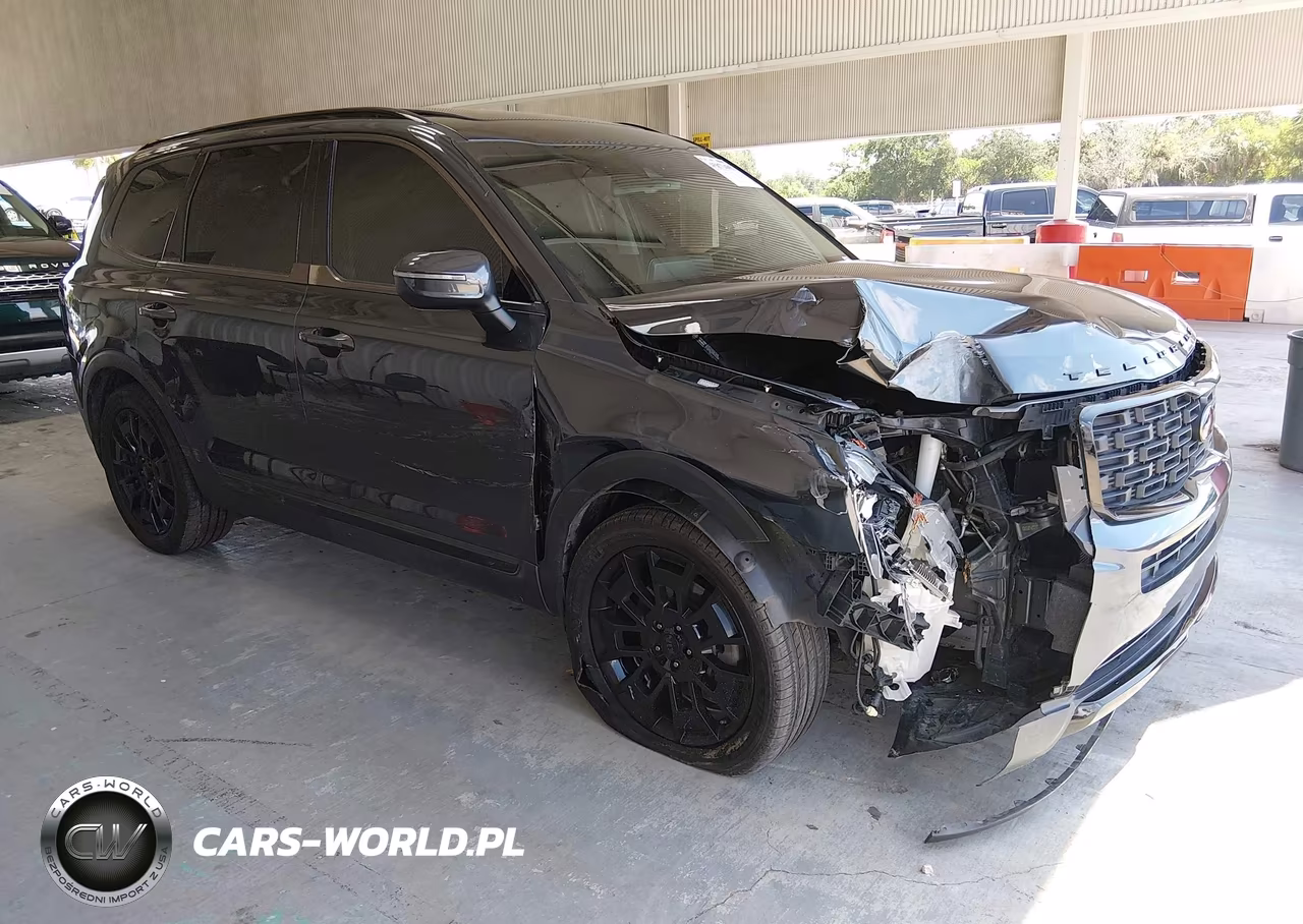 2021 Kia Telluride Ex VIN:5XYP3DHC9MG097484 - 1