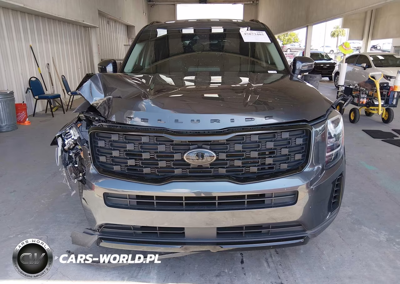 2021 Kia Telluride Ex VIN:5XYP3DHC9MG097484 - 12