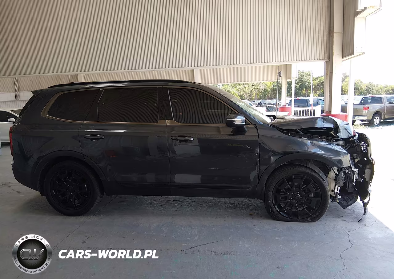 2021 Kia Telluride Ex VIN:5XYP3DHC9MG097484 - 13