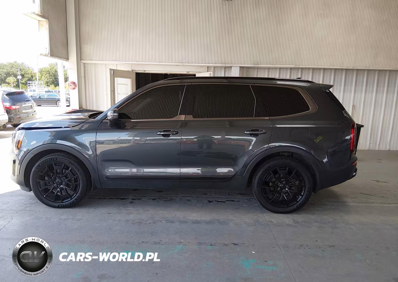 2021 Kia Telluride Ex VIN:5XYP3DHC9MG097484 - 14