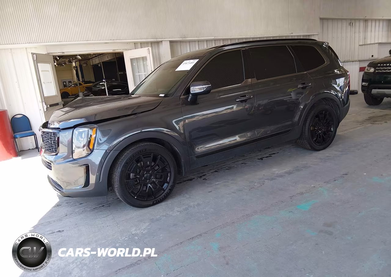 2021 Kia Telluride Ex VIN:5XYP3DHC9MG097484 - 2