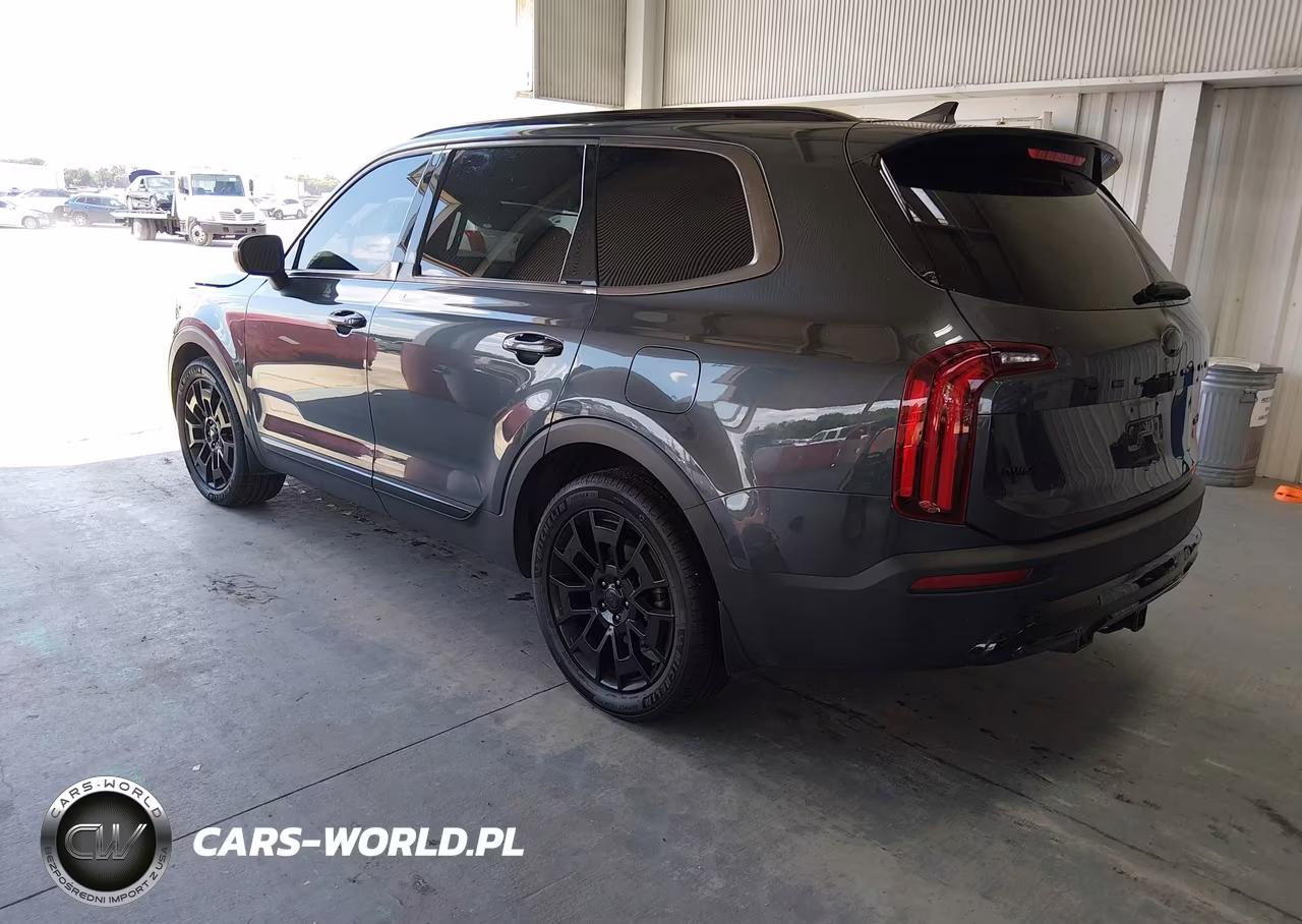 2021 Kia Telluride Ex VIN:5XYP3DHC9MG097484 - 3