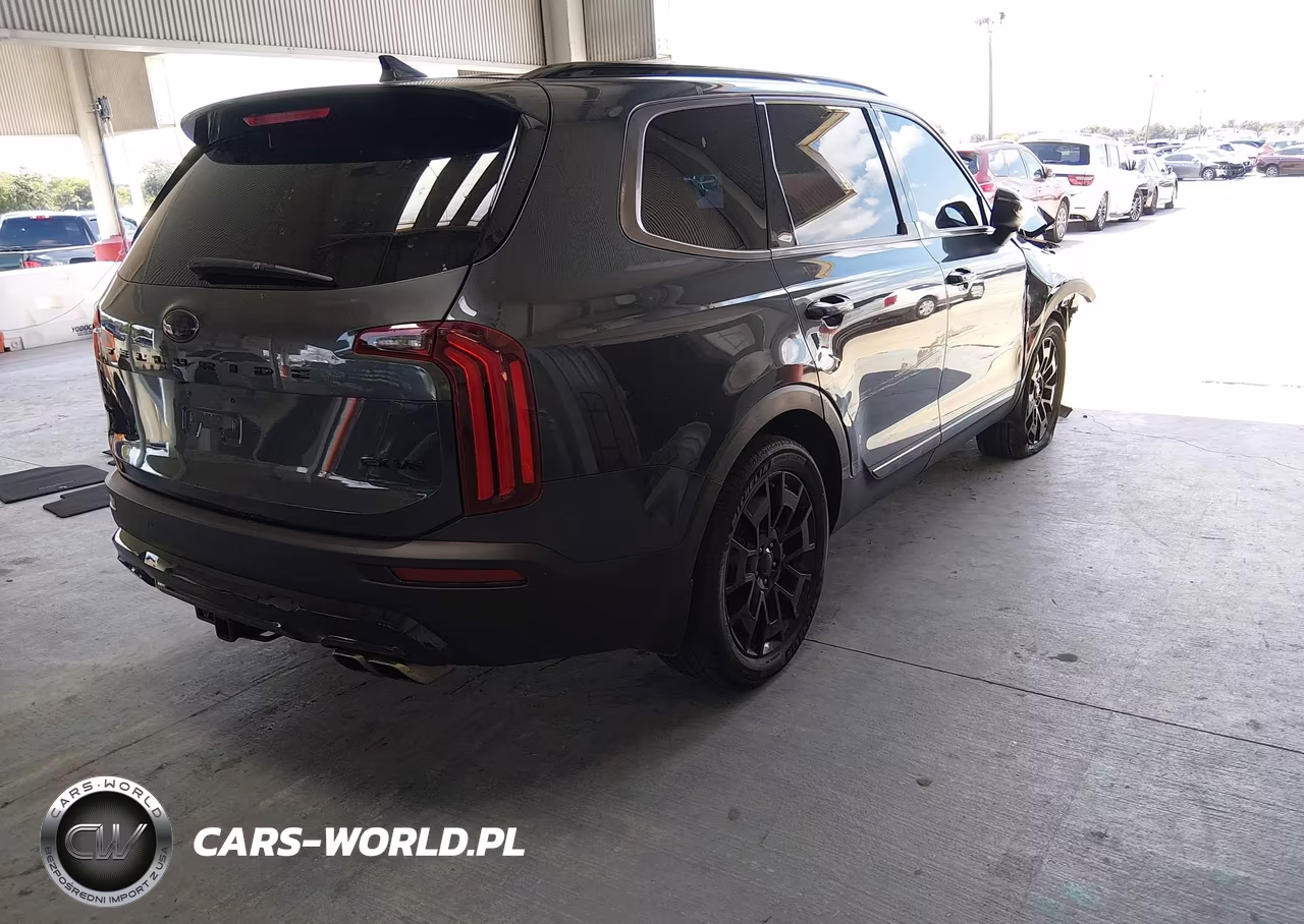 2021 Kia Telluride Ex VIN:5XYP3DHC9MG097484 - 4