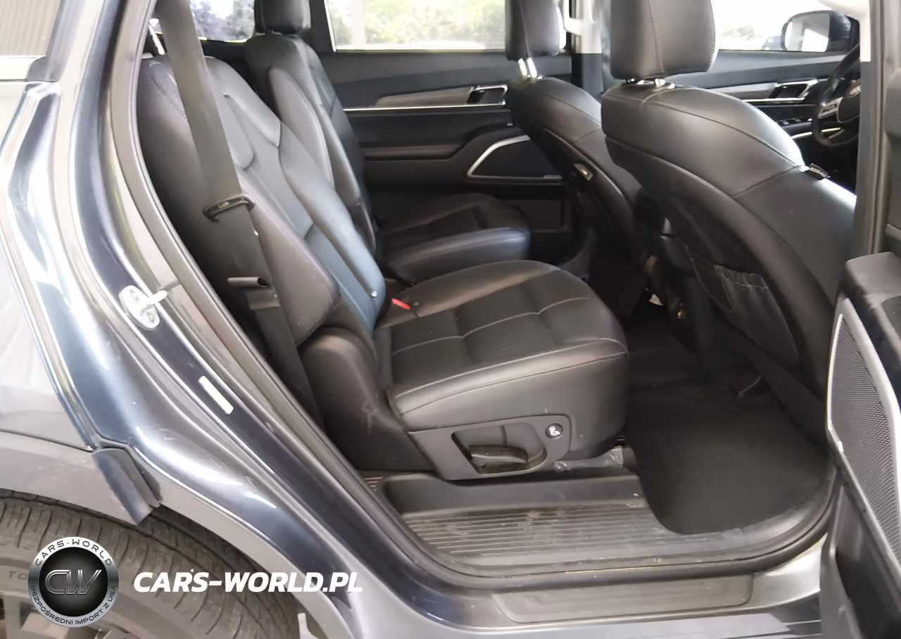 2021 Kia Telluride Ex VIN:5XYP3DHC9MG097484 - 8