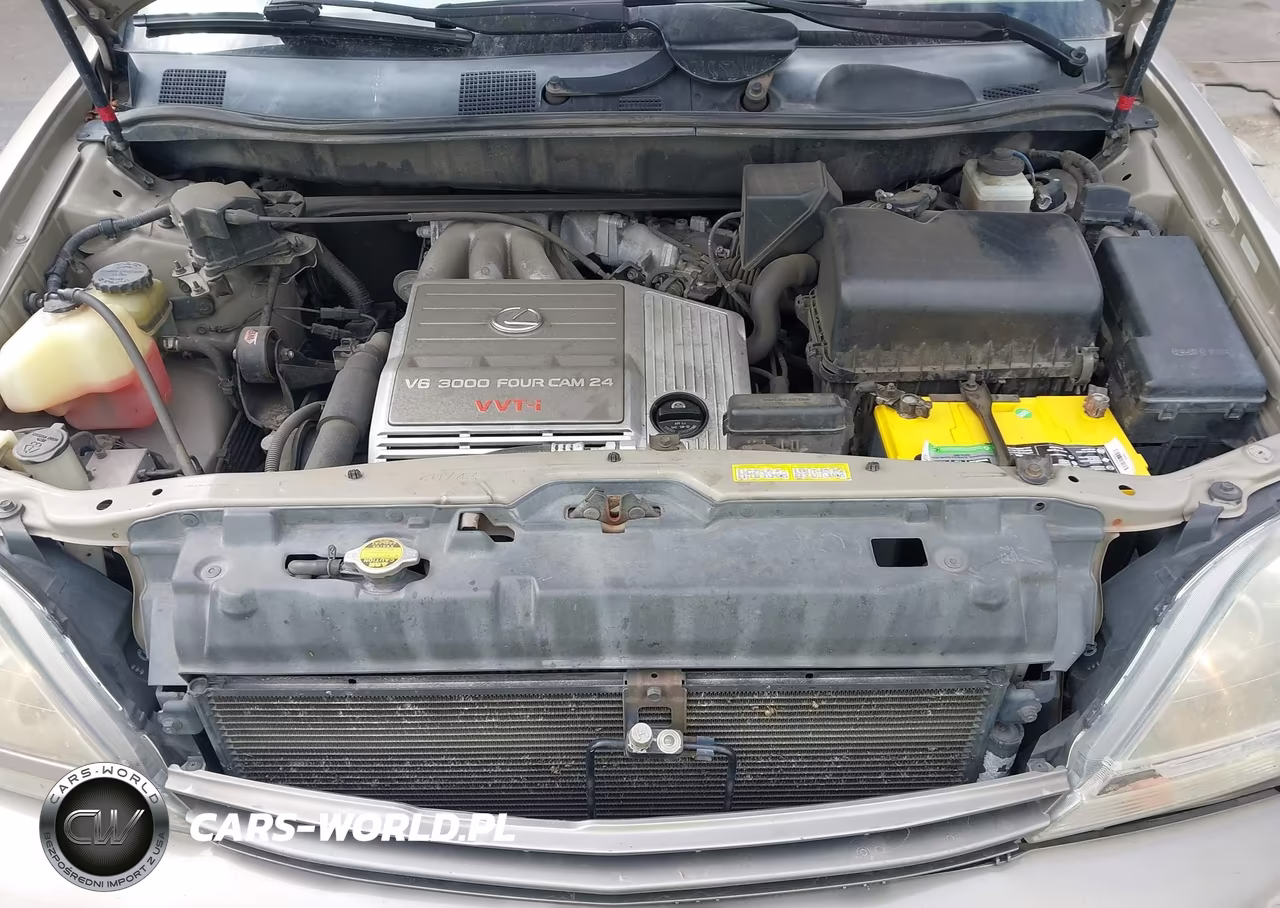 2000 Lexus Rx 300 VIN:JT6HF10U4Y0141652 - 10