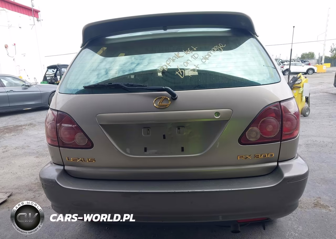 2000 Lexus Rx 300 VIN:JT6HF10U4Y0141652 - 16