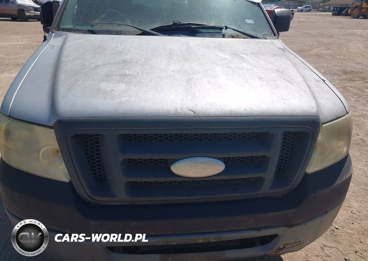 2006 Ford F-150 Stx-Xl-Xlt VIN:1FTRF12266KD99925 - 6