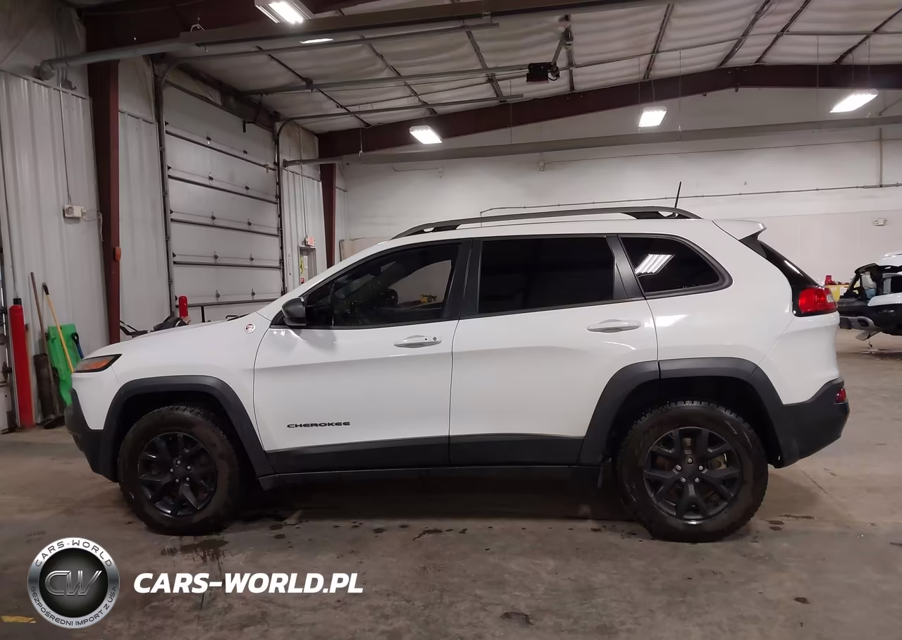 2016 Jeep Cherokee Trailhawk VIN:1C4PJMBB0GW338510 - 15