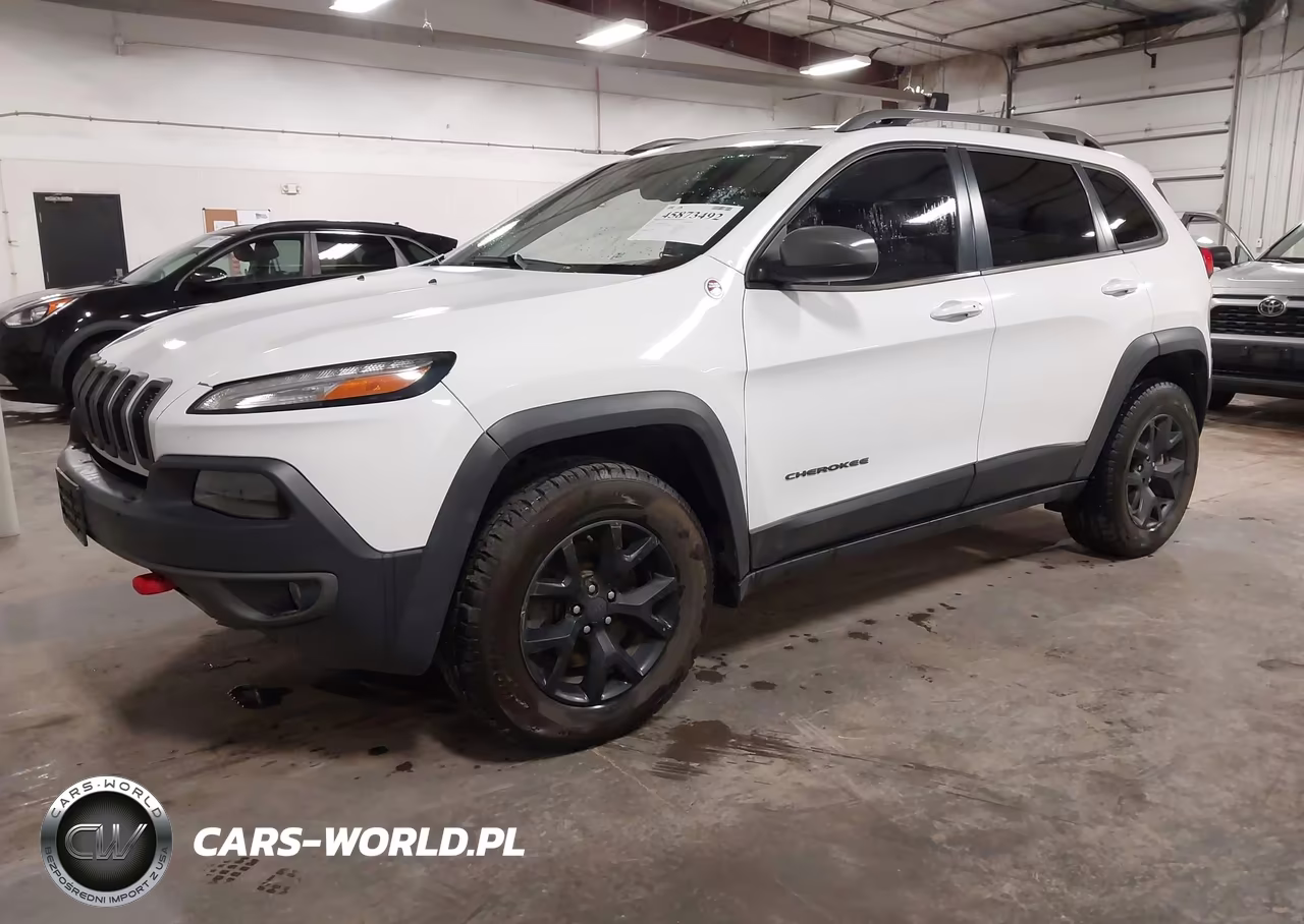 2016 Jeep Cherokee Trailhawk VIN:1C4PJMBB0GW338510 - 2