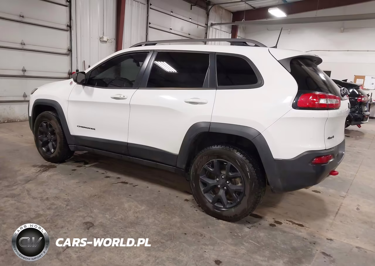 2016 Jeep Cherokee Trailhawk VIN:1C4PJMBB0GW338510 - 3