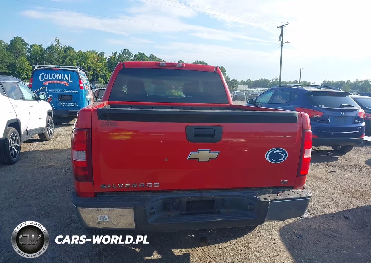 2009 Chevrolet Silverado 1500 Ls VIN:3GCEC13C79G114997 - 16