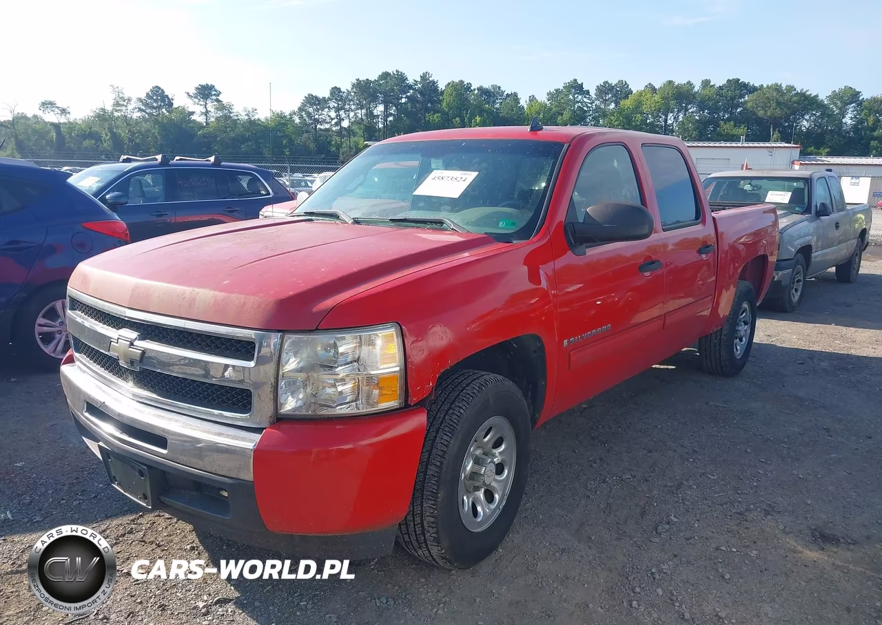 2009 Chevrolet Silverado 1500 Ls VIN:3GCEC13C79G114997 - 2