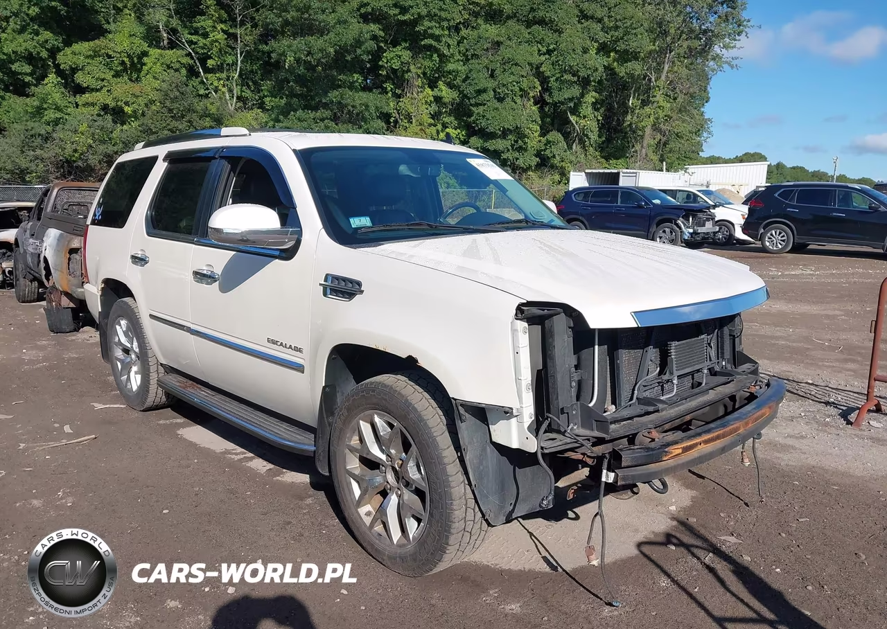 2010 Cadillac Escalade Luxury